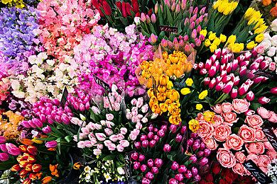 《健身拳击 北斗神拳》扩展DLC宣布12月5日推出